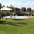 pool and lawn.jpg